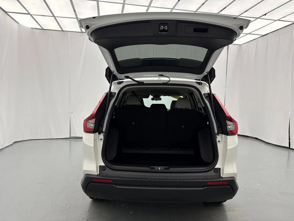 New 2026 Platinum White Pearl Honda LX image 10