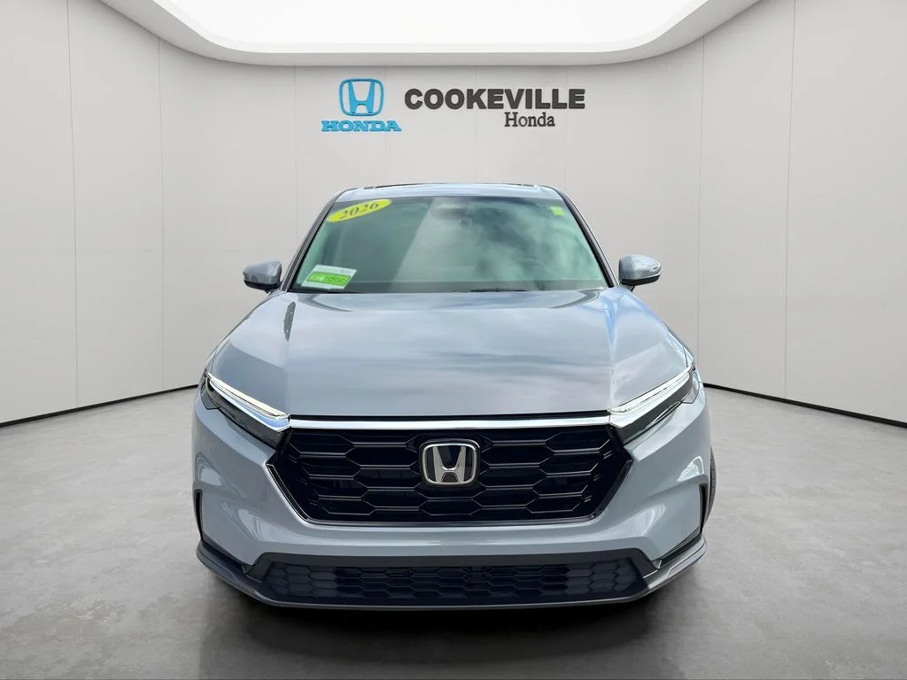 Used 2026 Gray Honda EX image 3