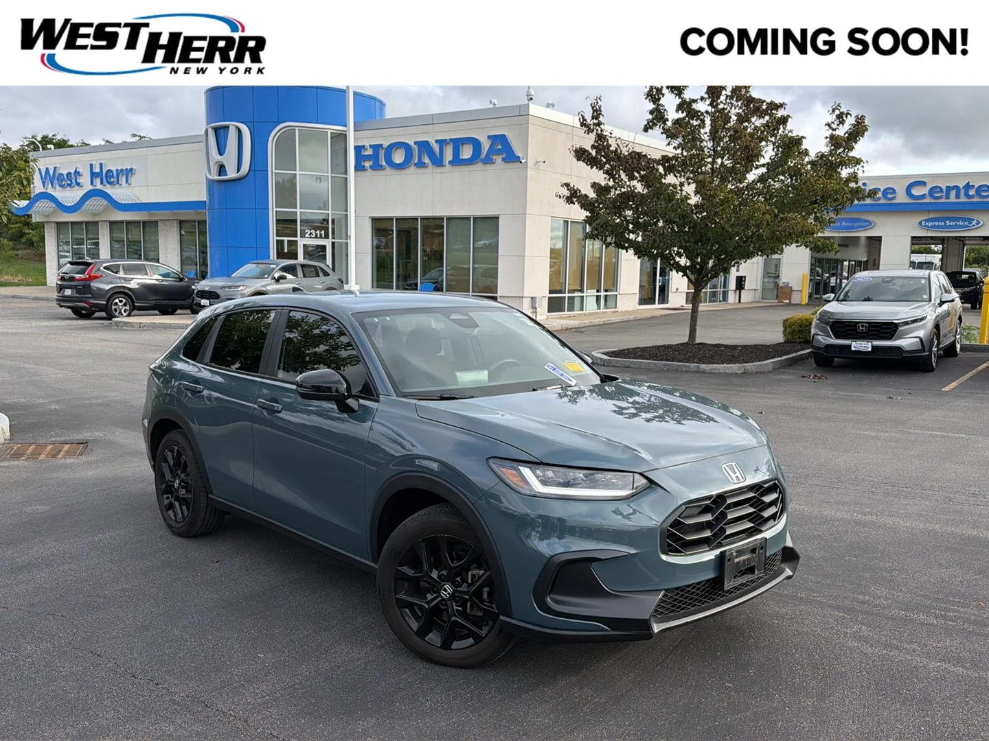 Used 2024 Nordic Forest Pearl Honda Sport image 1