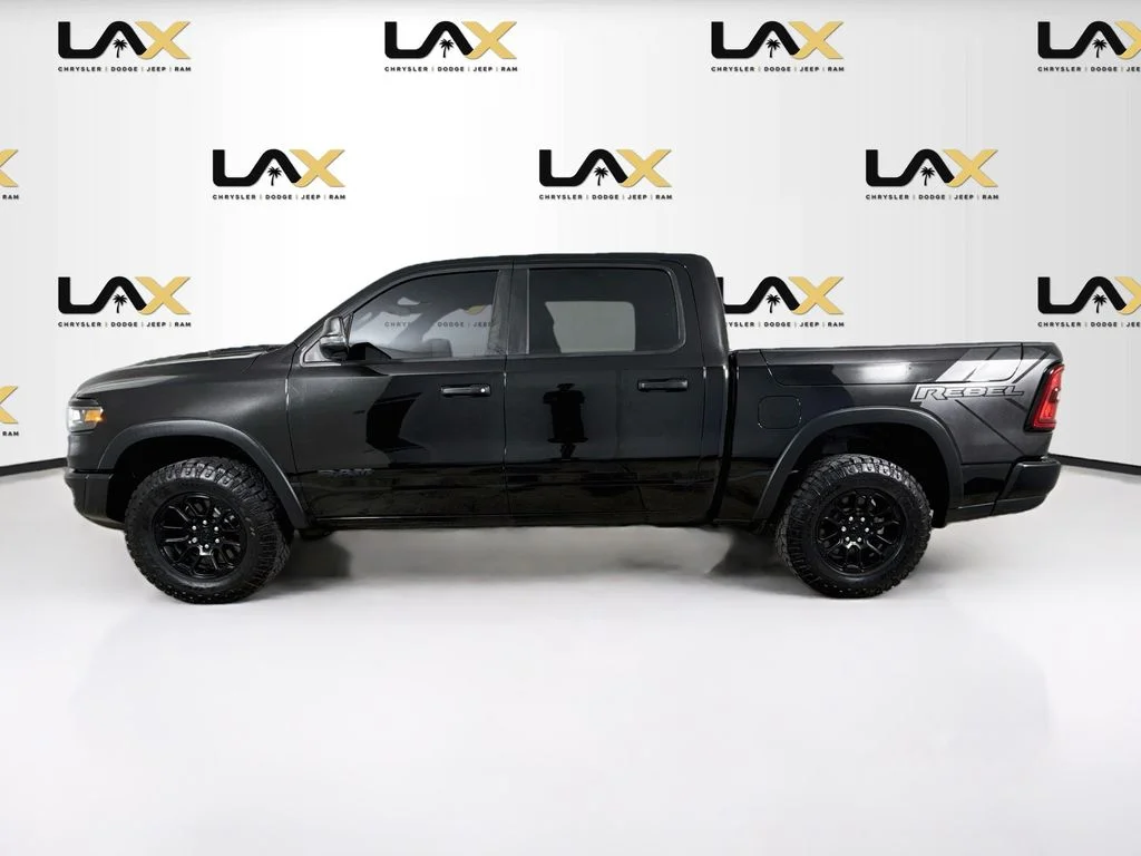 Used 2025 Black Ram Rebel image 4