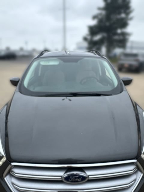 Used 2017 Silver Ford SE image 2