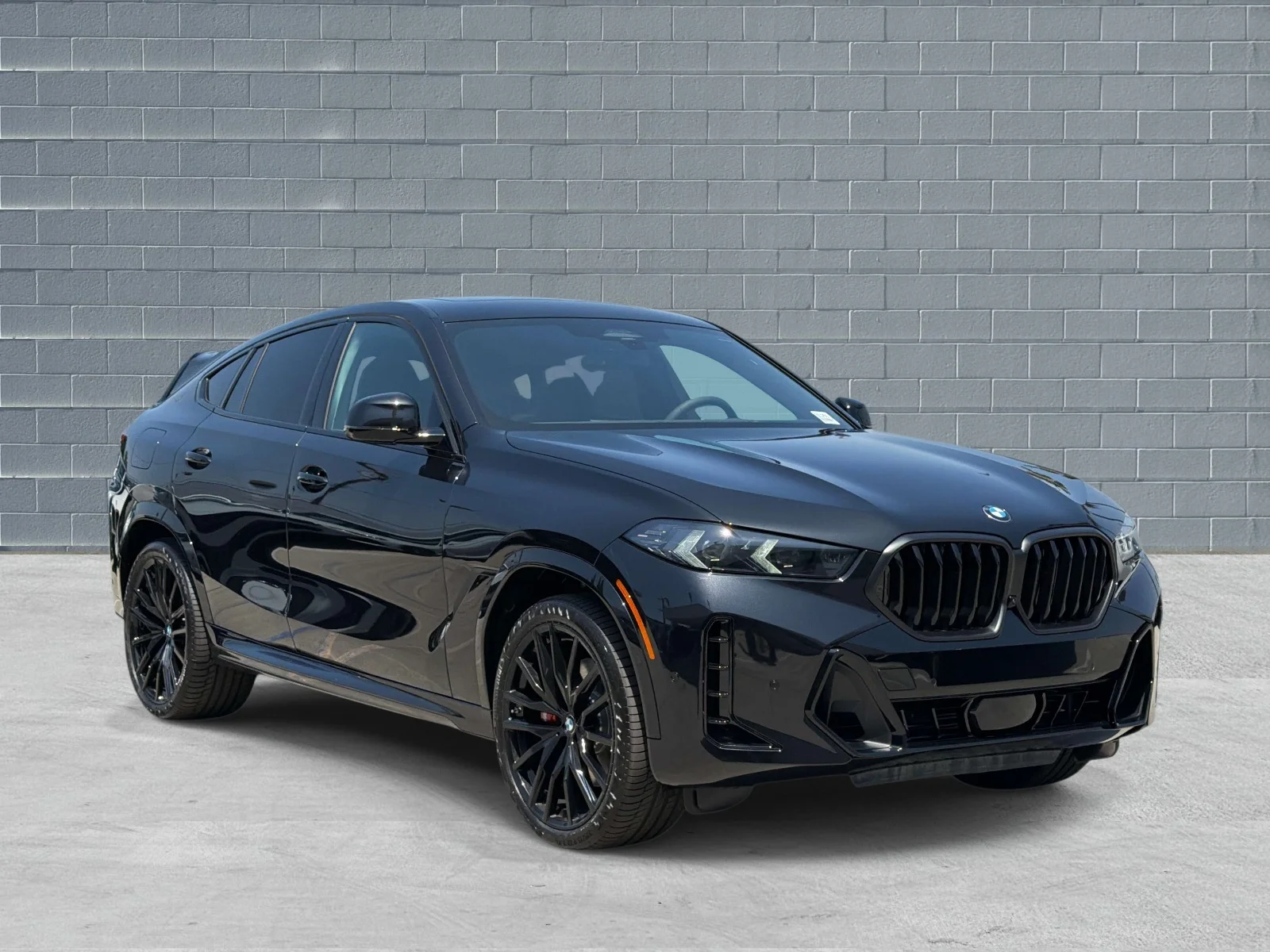 2026 BMW X6 xDrive40i's photo
