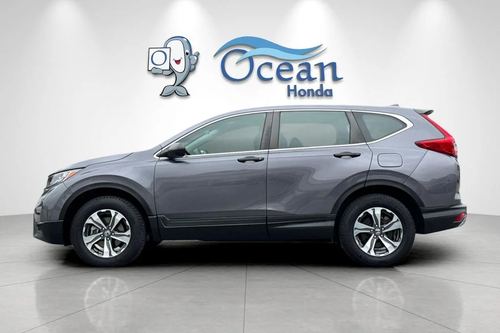 Used 2019 Gray Honda LX image 7