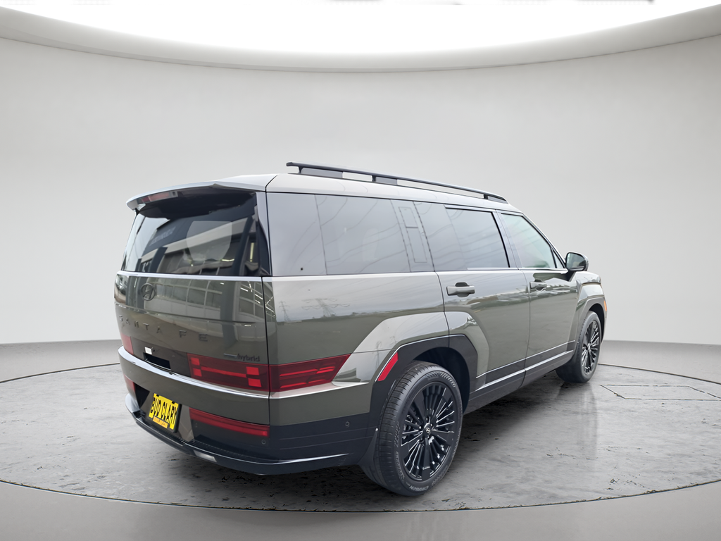New 2026 Green Hyundai Calligraphy image 5
