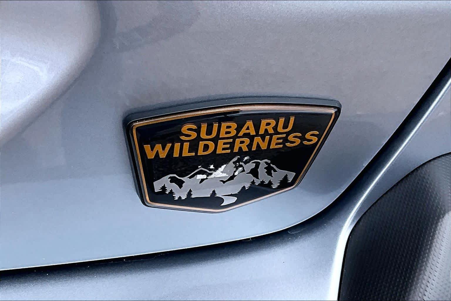 Used 2025 Ice Silver Metallic Subaru Wilderness image 8