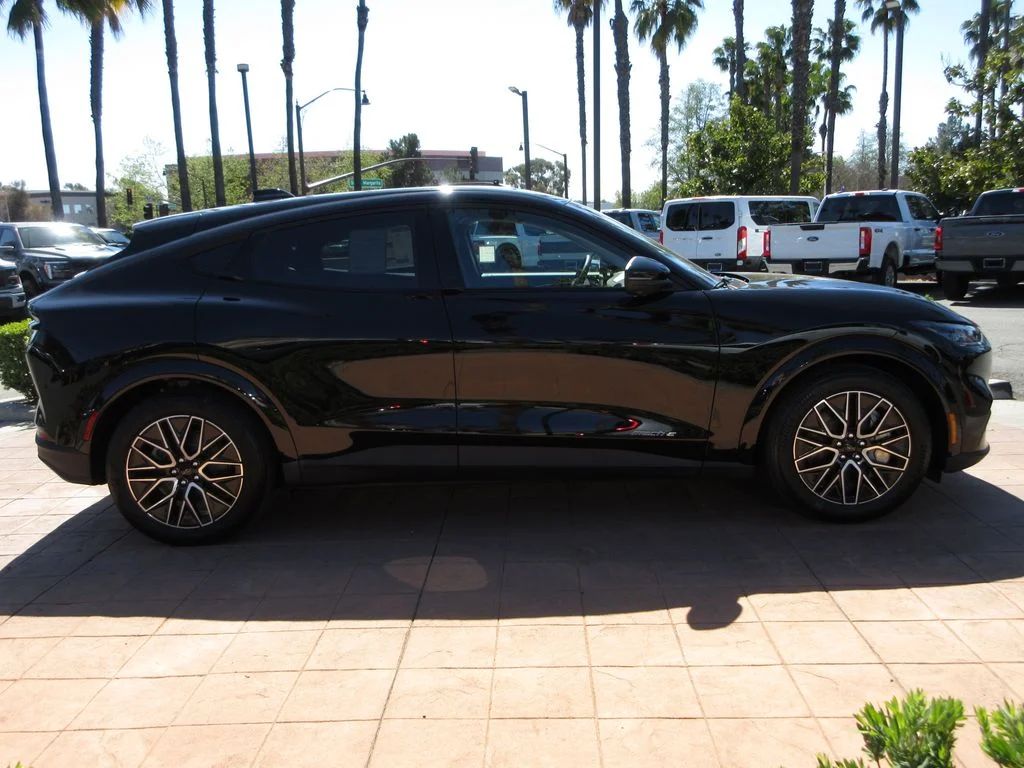 New 2026 Shadow Black Ford Premium image 5