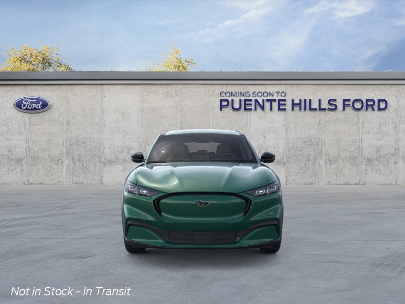 New 2026 Eruption Green Metallic Ford Premium image 6