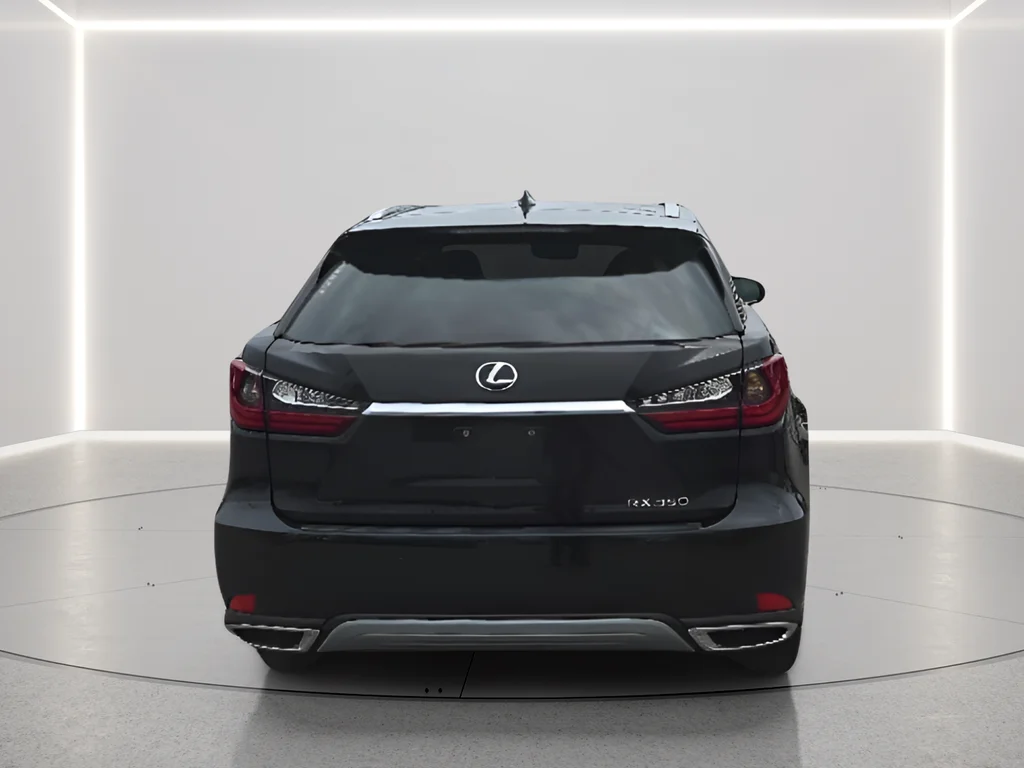 2022 Lexus RX 350 - Photo 6