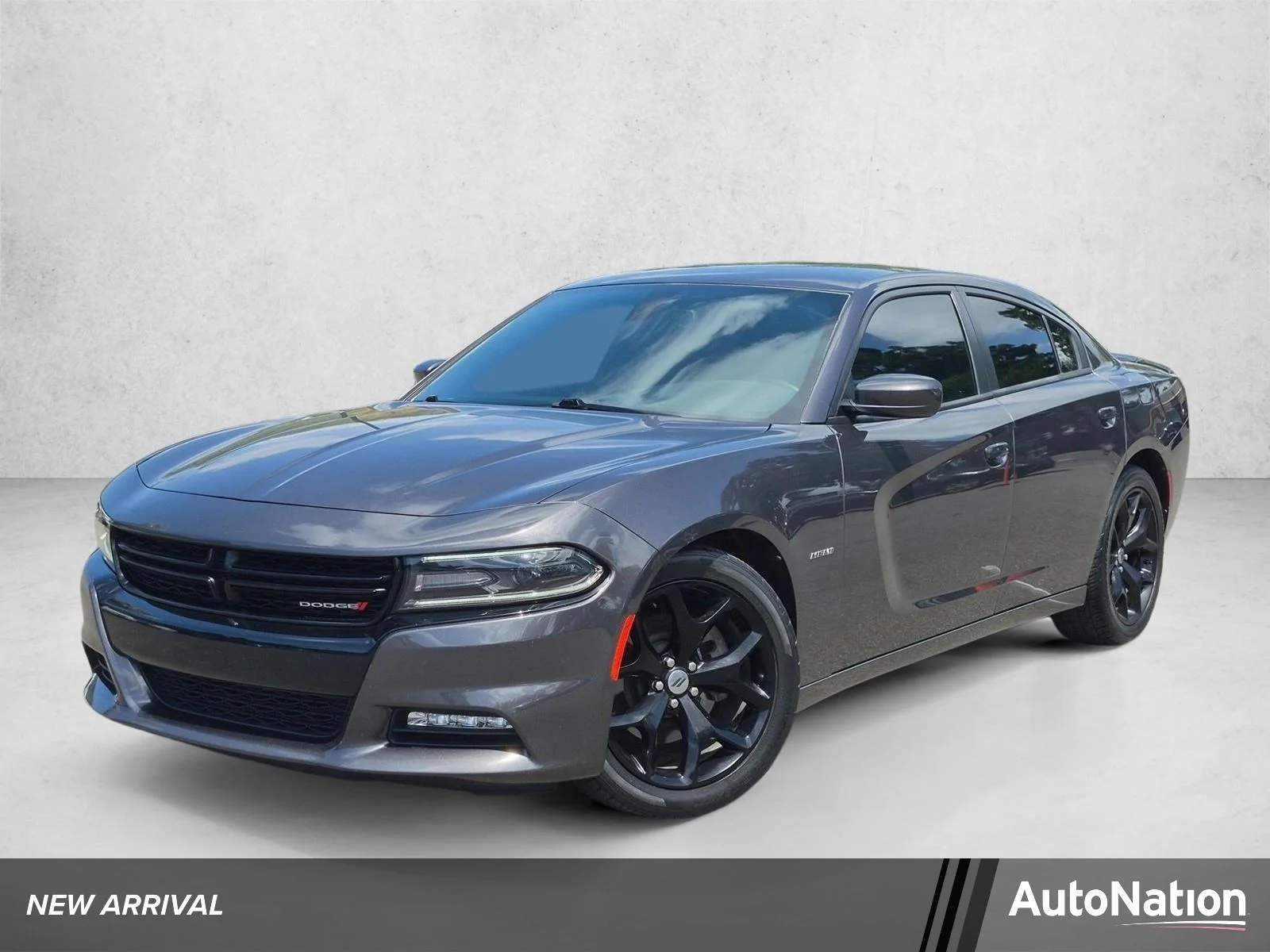 2017 Dodge Charger R/T's photo