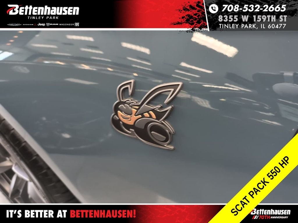 New 2026 Sub-Zero Exterior Paint Dodge R/T Scat Pack image 11