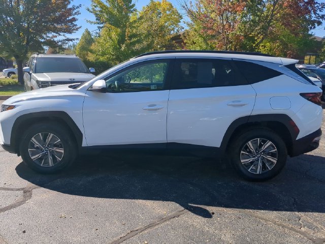 Used 2024 White Hyundai Blue image 4