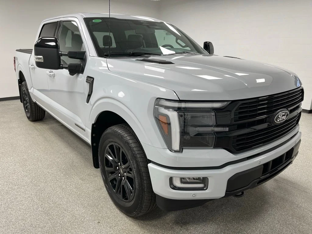 Used 2025 Gray Ford Platinum image 2