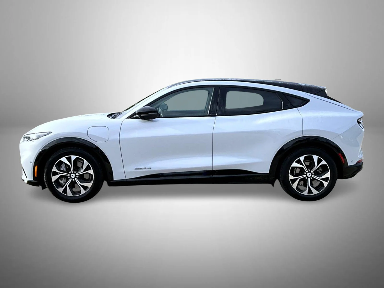 Used 2023 White Ford Premium image 8