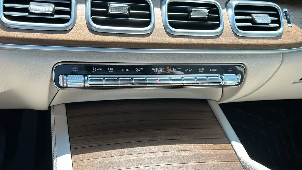 2025 Mercedes-Benz GLS Base - Photo 17