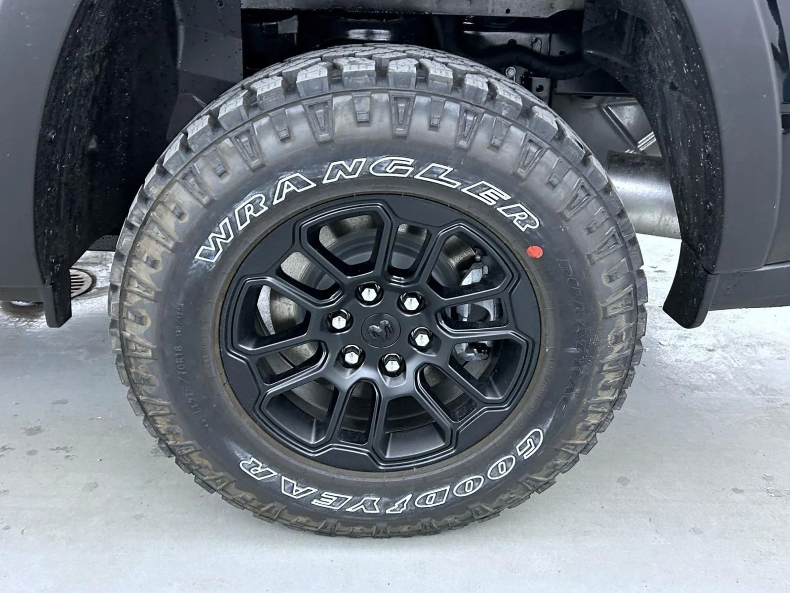 New 2026 Black Ram Rebel image 23