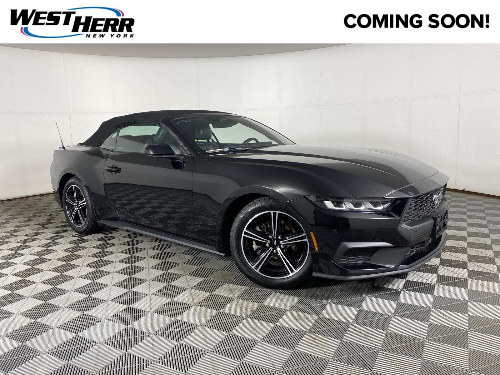 Used 2024 Shadow Black Ford EcoBoost Premium image 1