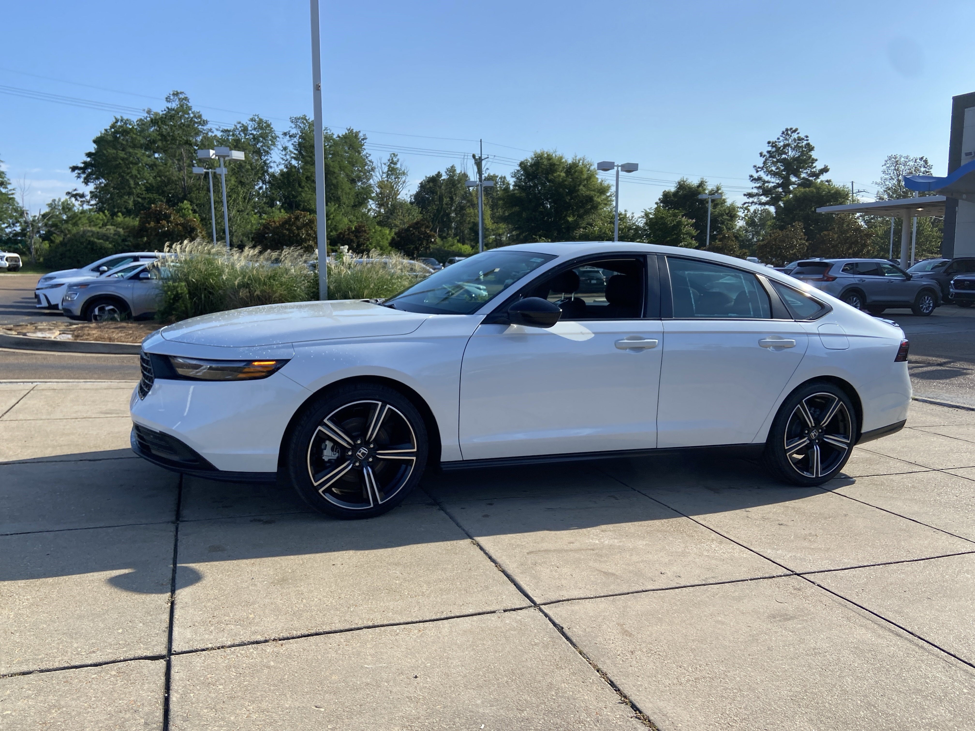 New 2026 Platinum White Pearl Honda Sport image 5