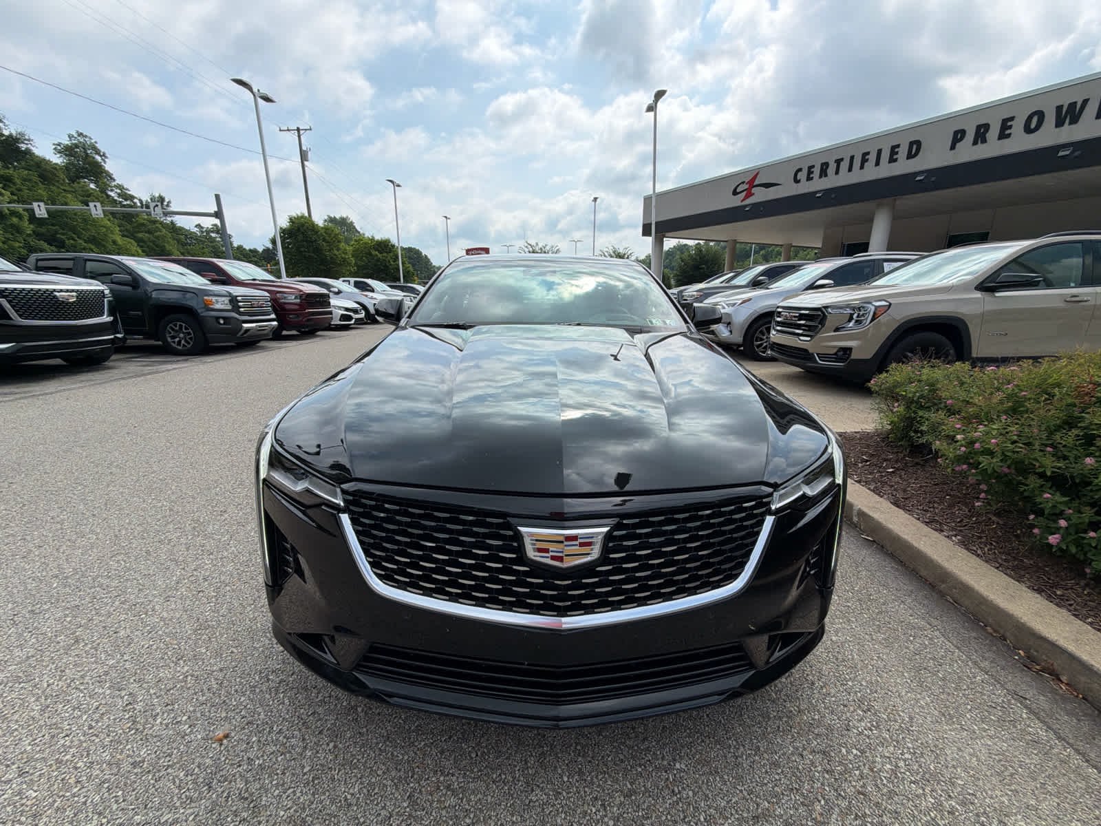 Used 2020 BLACK RAVEN Cadillac Premium Luxury image 2