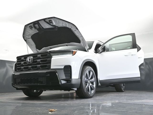 New 2026 Platinum White Pearl Honda Sport image 35
