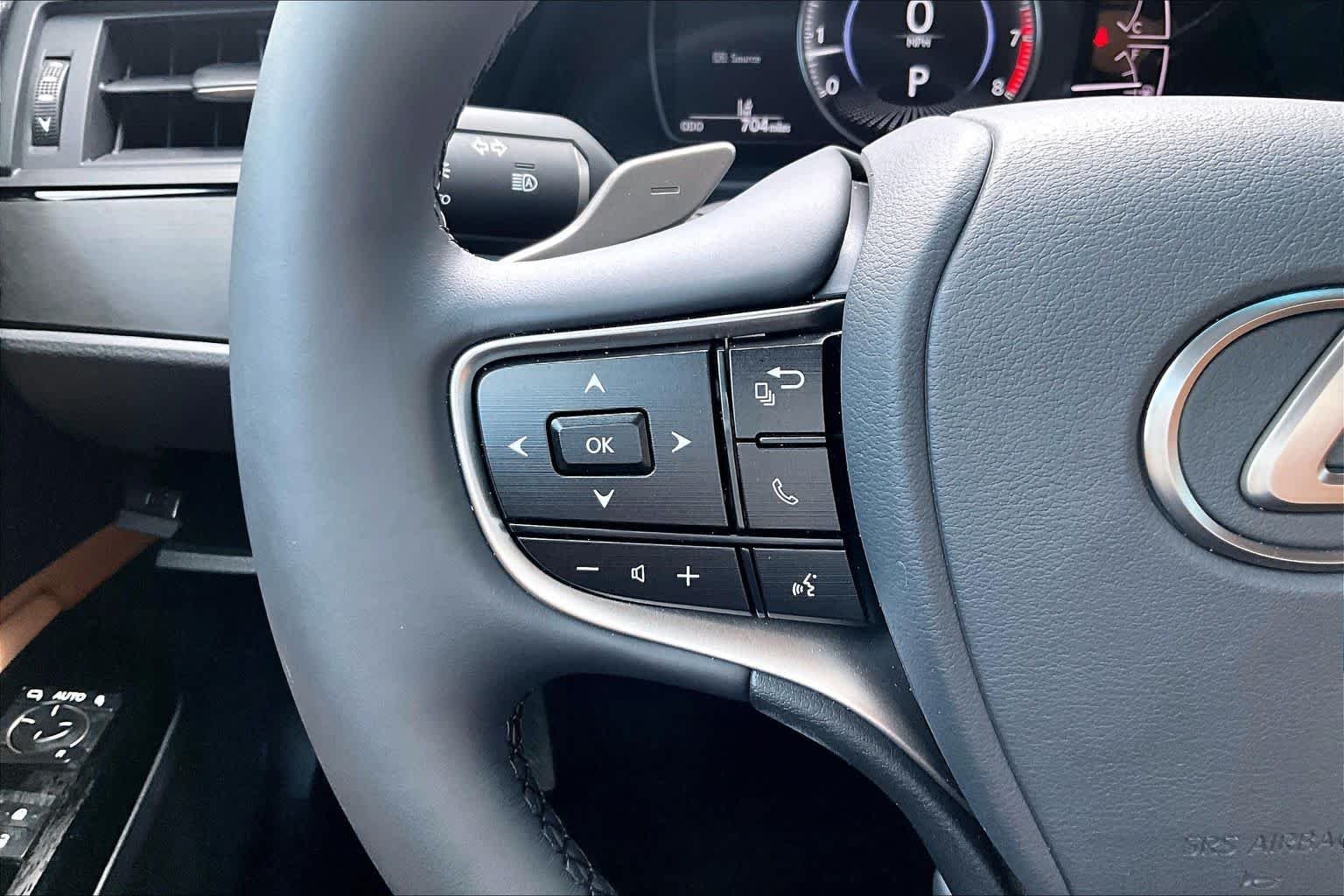 Used 2025 Cloudburst Gray Lexus  image 22