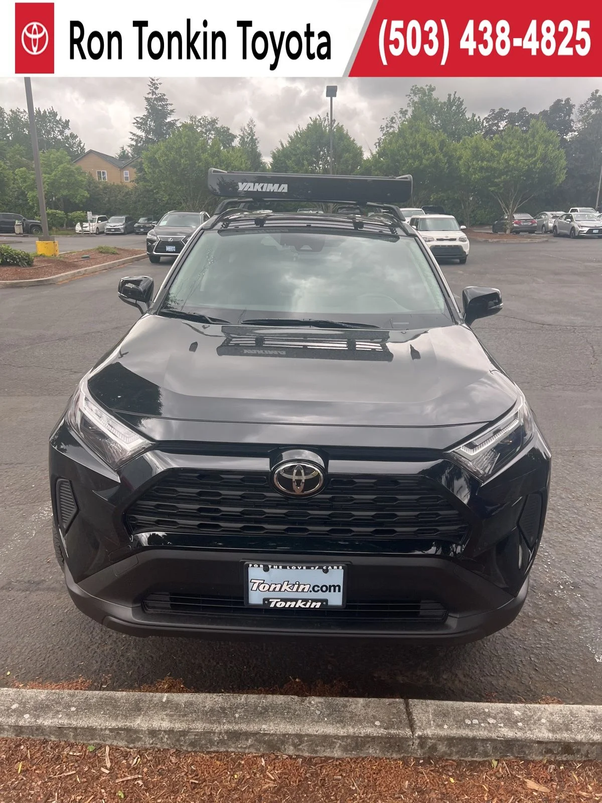2025 Toyota RAV4 XLE AWD's photo