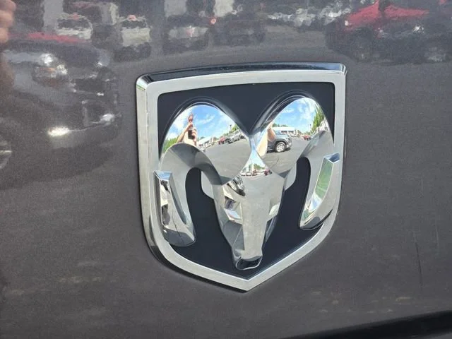 Used 2019 Gray Ram Express image 17