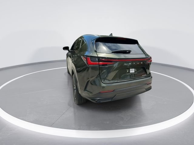 2025 Lexus NX 250 - Photo 6
