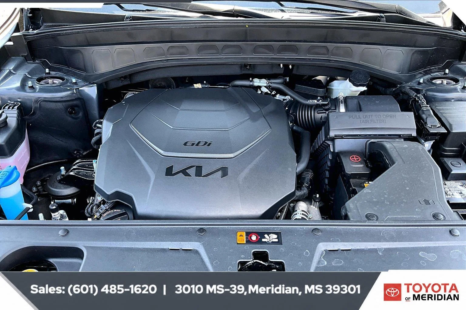 Used 2025 Panthera Metal Kia SX image 8