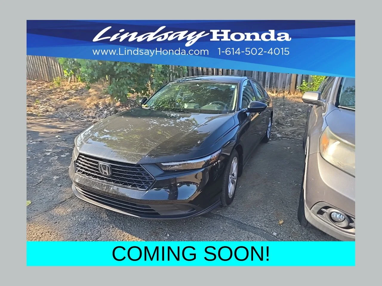 2025 Honda Accord Sedan