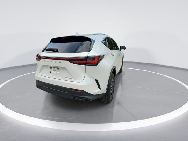 2023 Lexus NX 250 - Photo 8