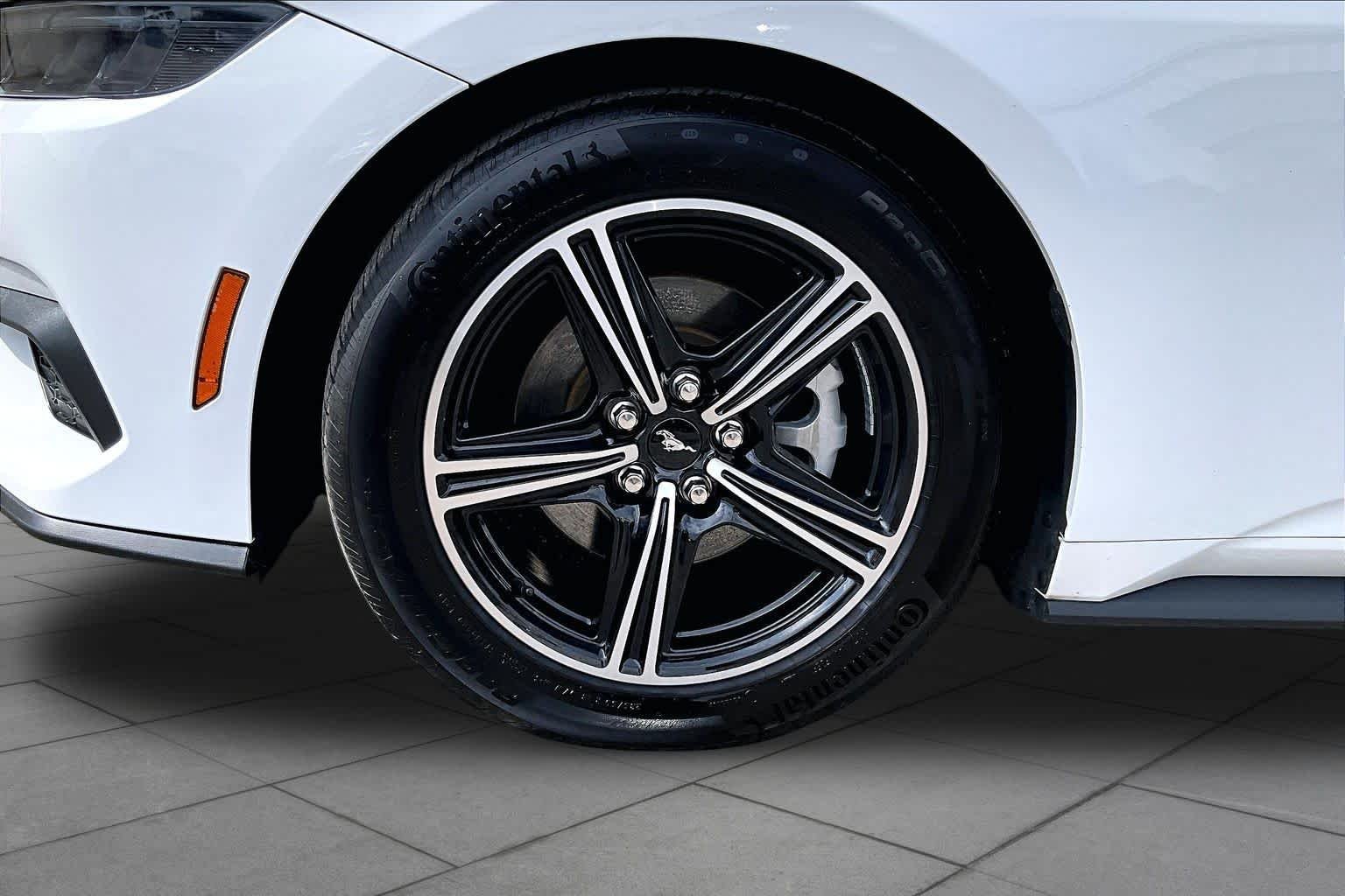 Used 2025 Oxford White Ford EcoBoost image 11