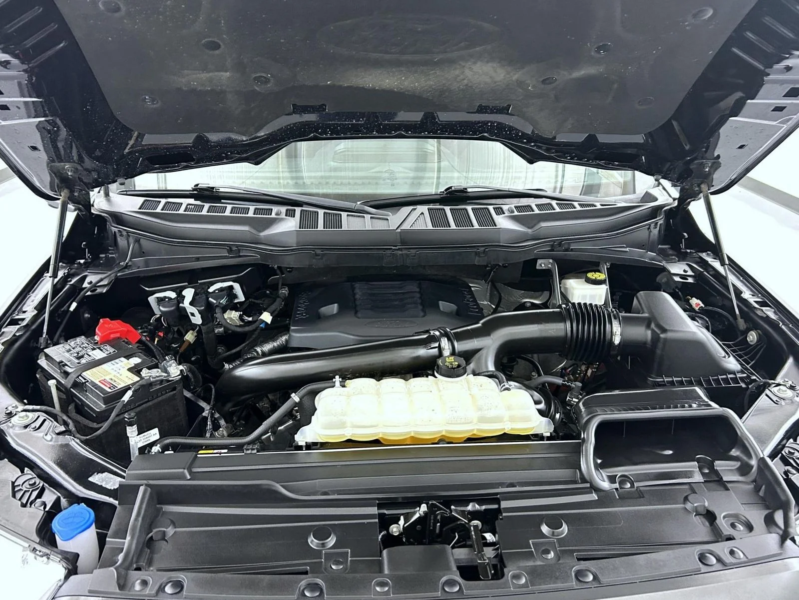 Used 2023 Black Ford XLT image 25