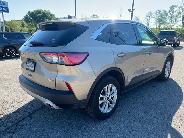 Used 2020 Desert Gold Metallic Ford SE image 6