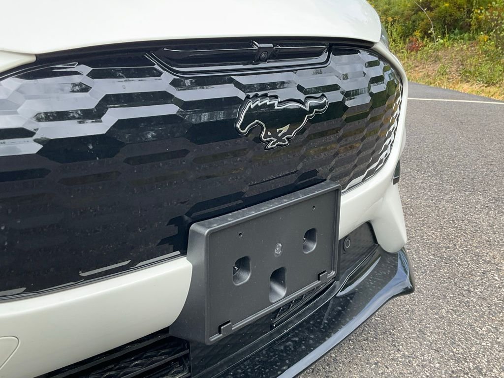 2025 Ford Mustang Mach-E GT - Photo 22