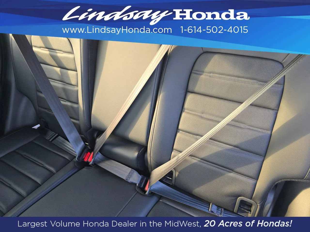 New 2027 Platinum White Pearl Honda EX-L image 4