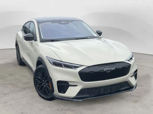 New 2026 Desert Sand Ford Premium image 7