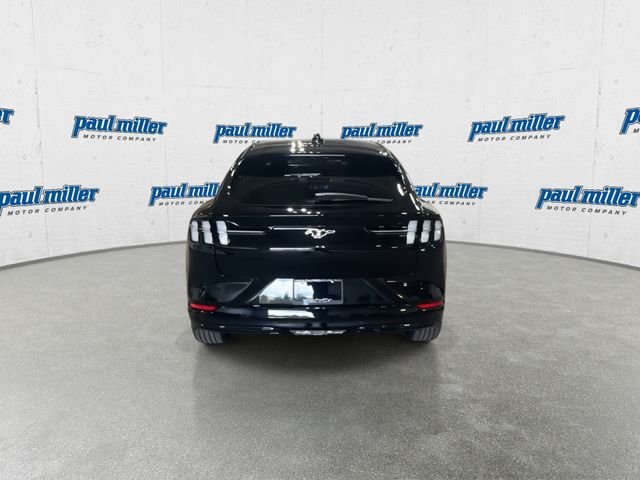 New 2026 Black Ford Premium image 7
