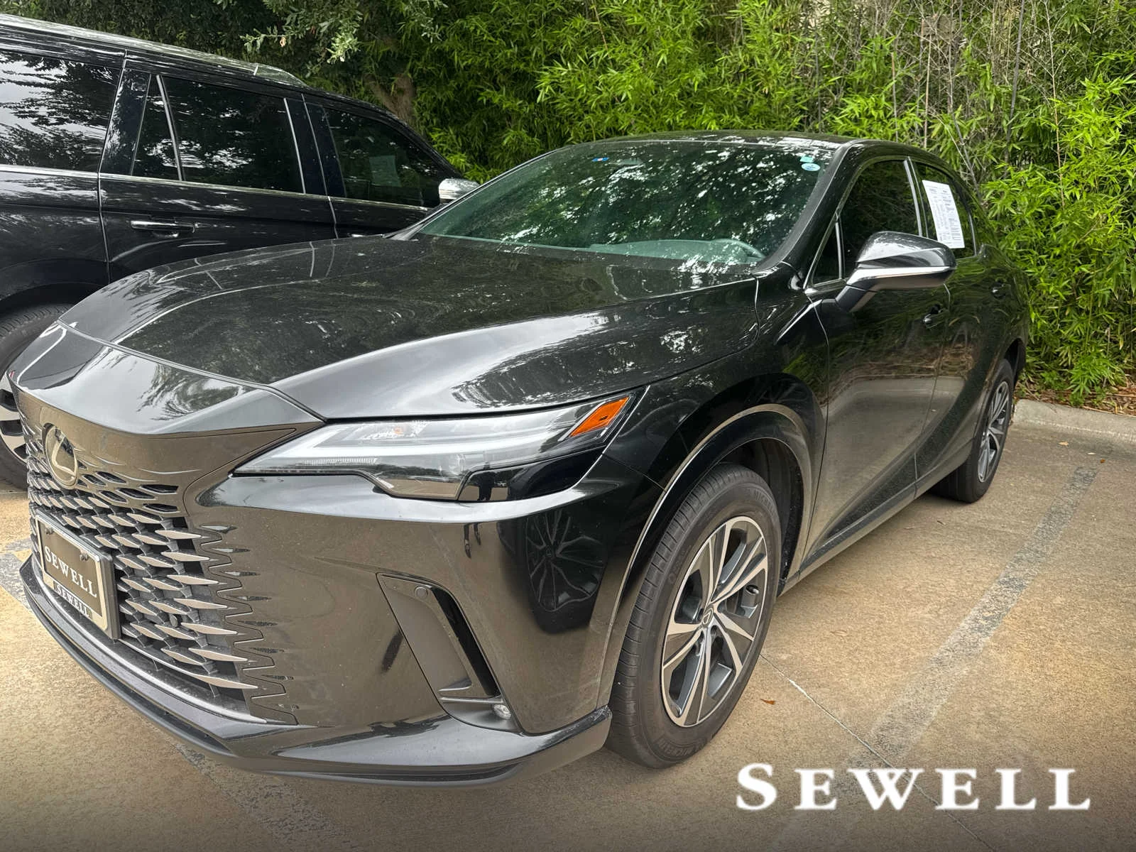 2025 Lexus RX 350's photo