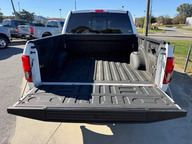 Used 2018 White Ford Platinum image 11