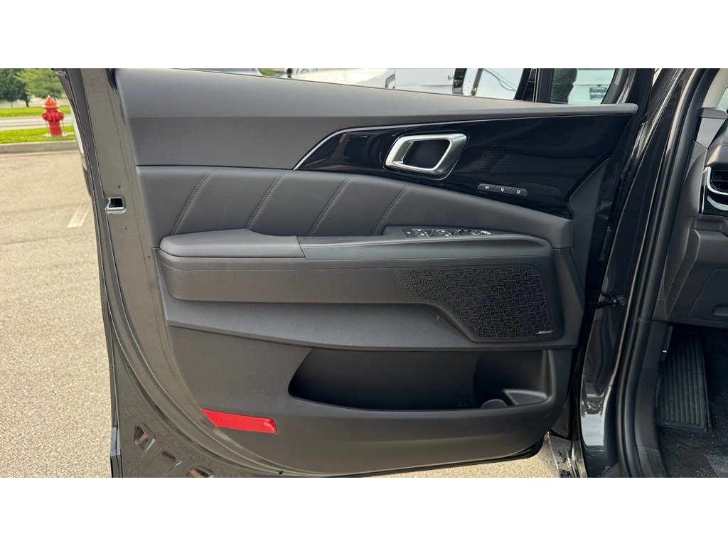 New 2026 Panthera Metal Kia SX Prestige image 21