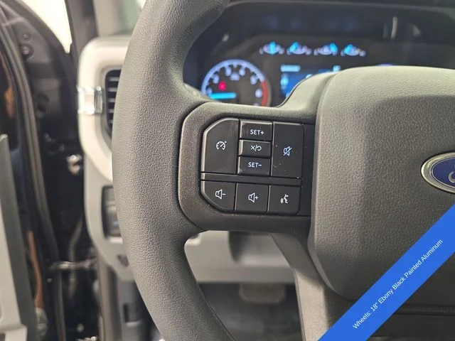 New 2026 Agate Black Metallic Ford F-250® XL image 35