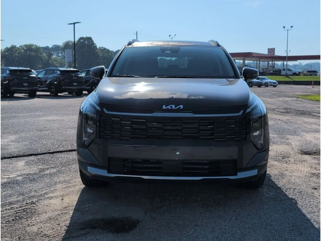 New 2026 Panthera Metal Kia EX image 8