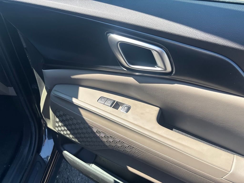 Used 2026 Panthera Metal Kia LXS image 15