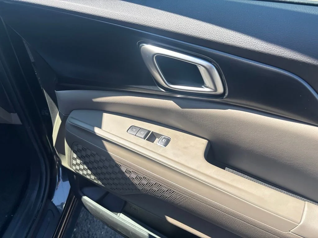 Used 2026 Panthera Metal Kia LXS image 15