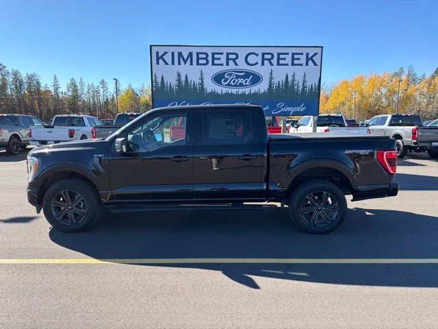 Used 2023 Ford F-150 XLT with VIN 1FTFW1E86PKF00031 for sale in Pine River, Minnesota