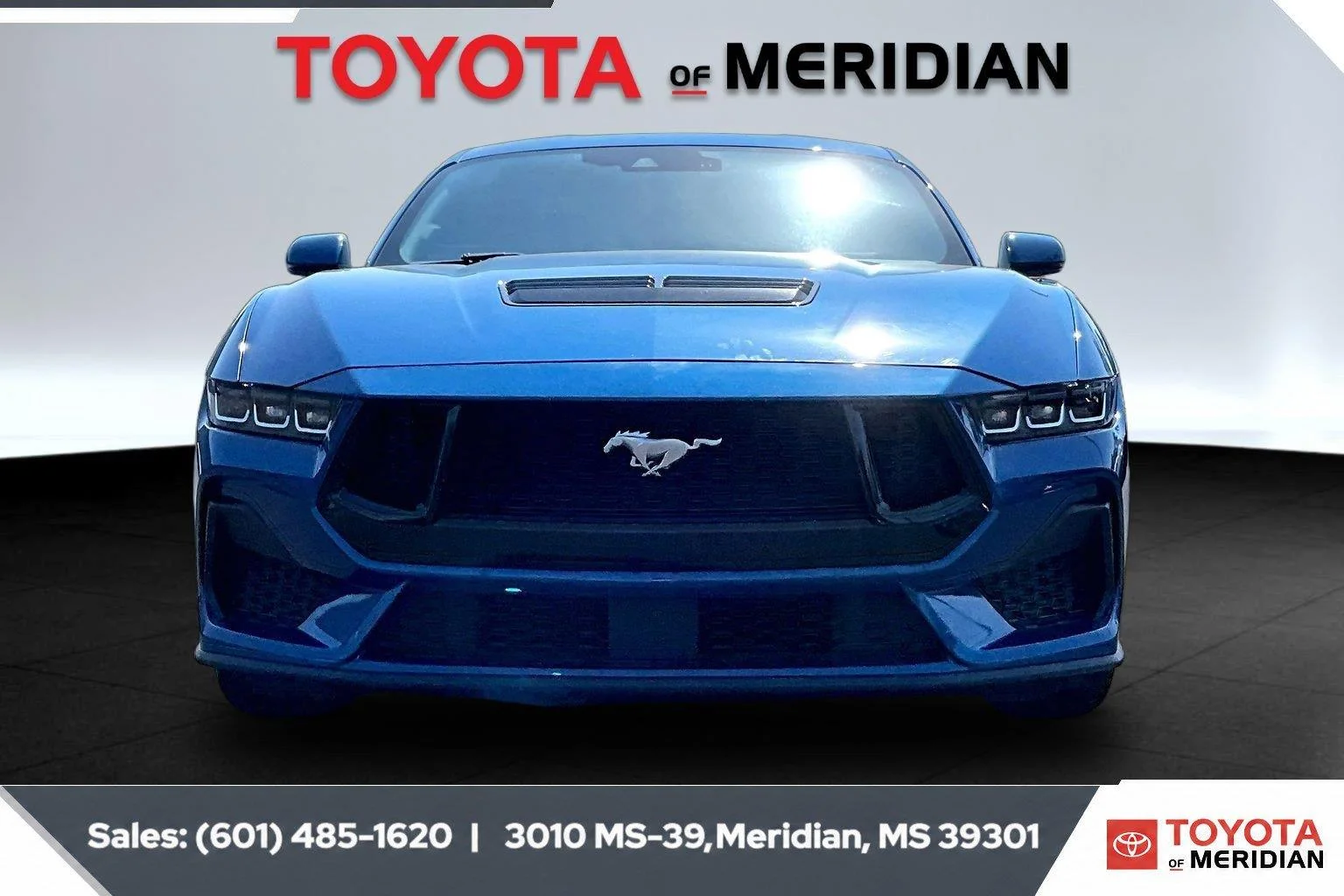 Used 2024 Atlas Blue Ford GT Premium image 3