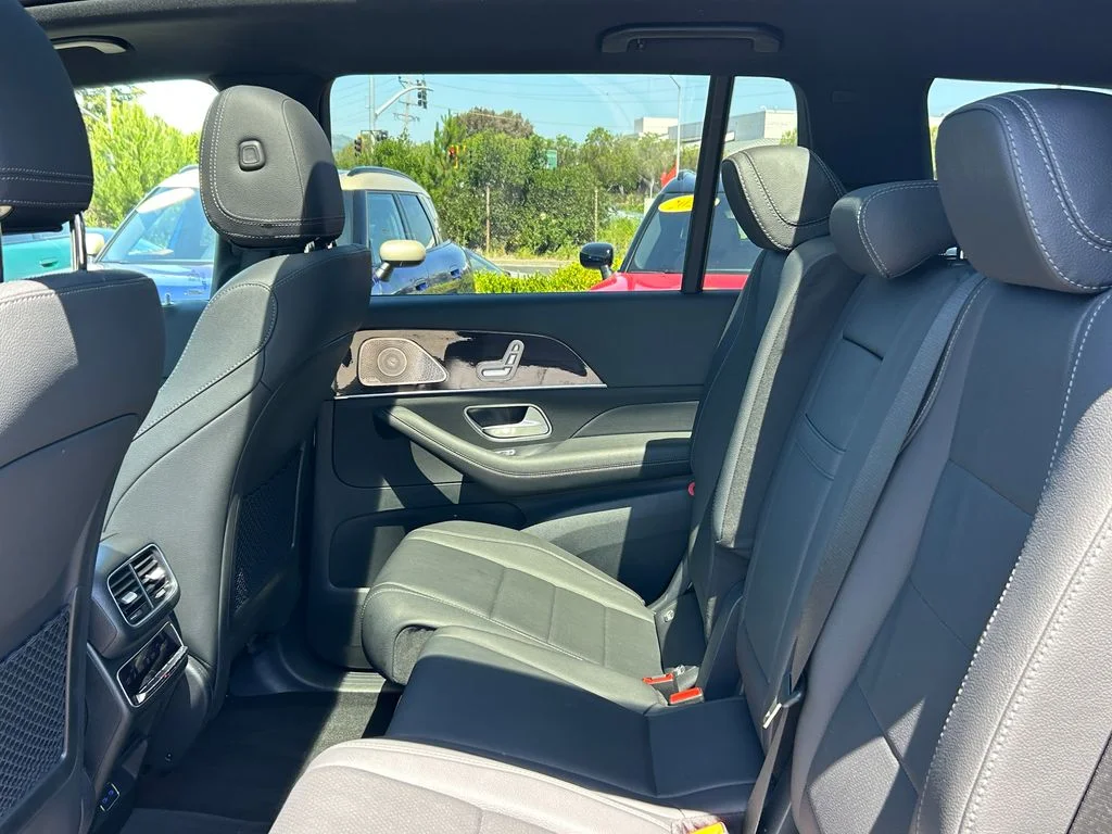 2025 Mercedes-Benz GLS Base - Photo 29