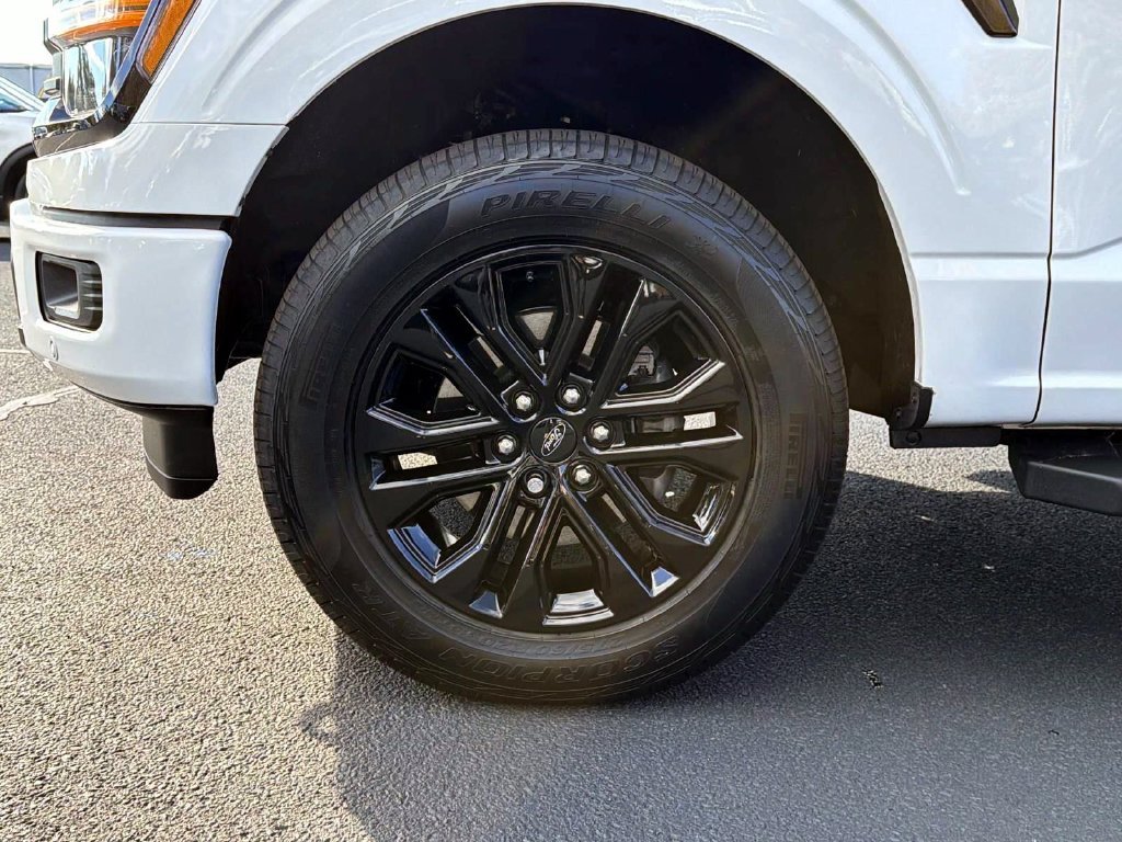 Used 2026 White Ford XLT image 9