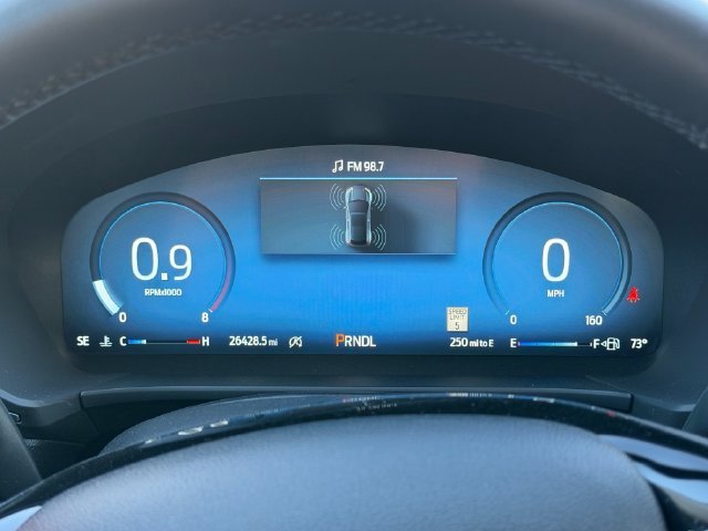 Used 2025 Silver Ford Platinum image 20