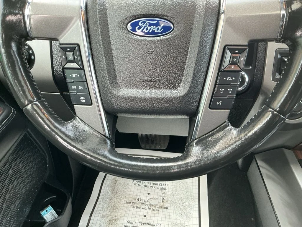 Used 2017 Black Ford Platinum image 19
